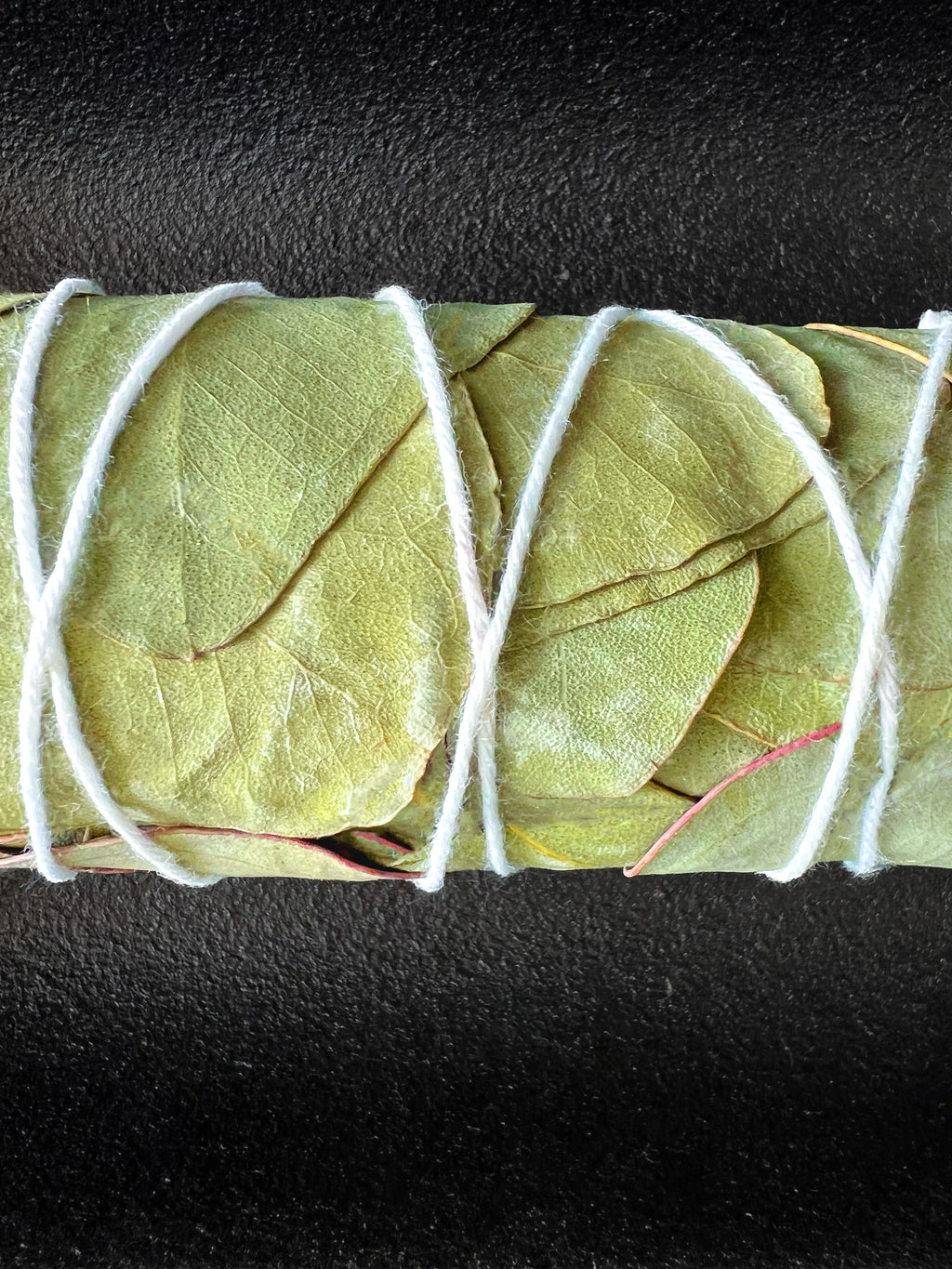 Close-up of Eucalyptus bundled with white cotton string on a dark background