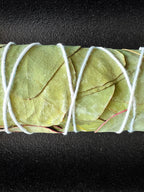 Close-up of Eucalyptus bundled with white cotton string on a dark background