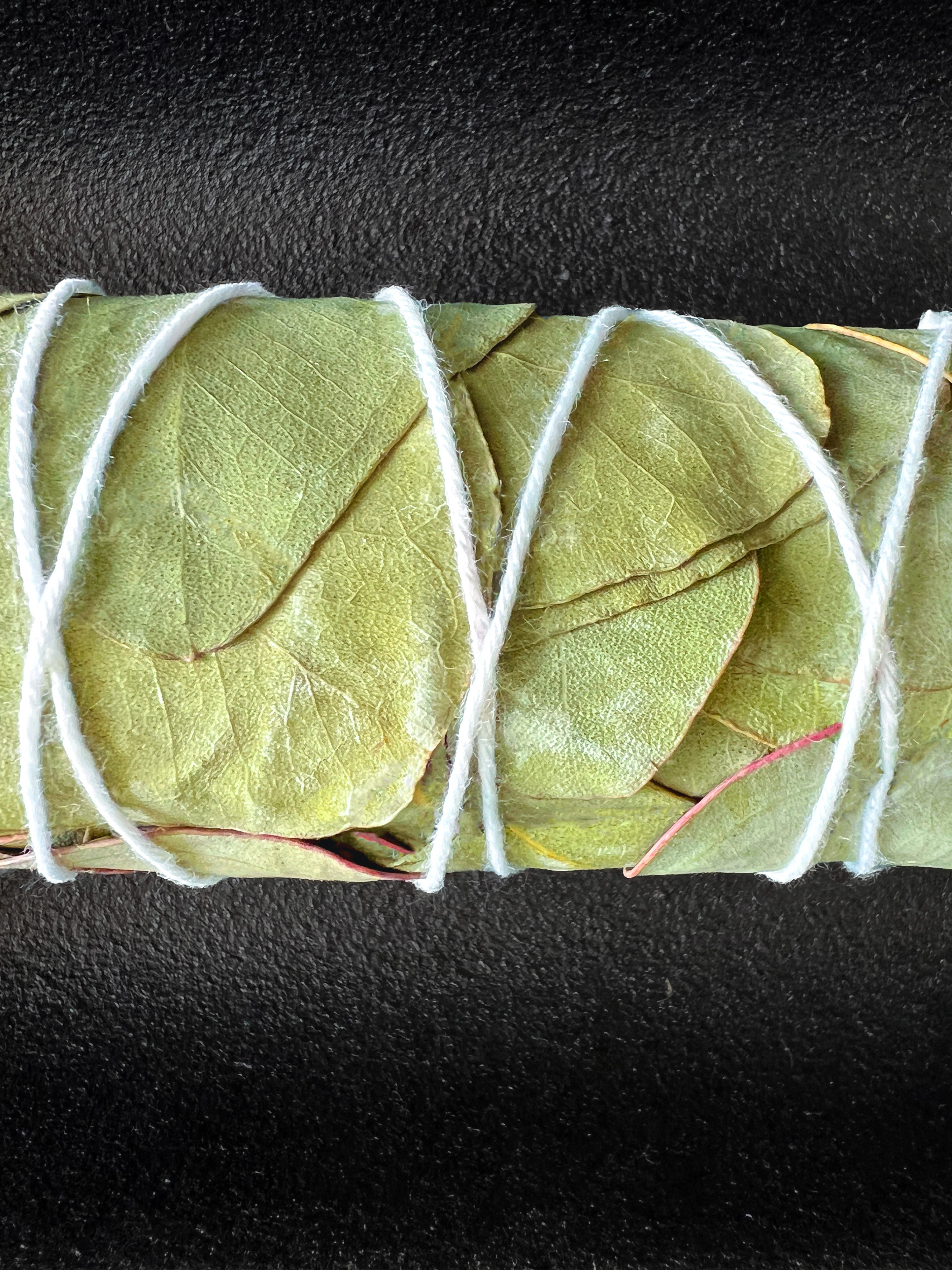 Close-up of Eucalyptus bundled with white cotton string on a dark background